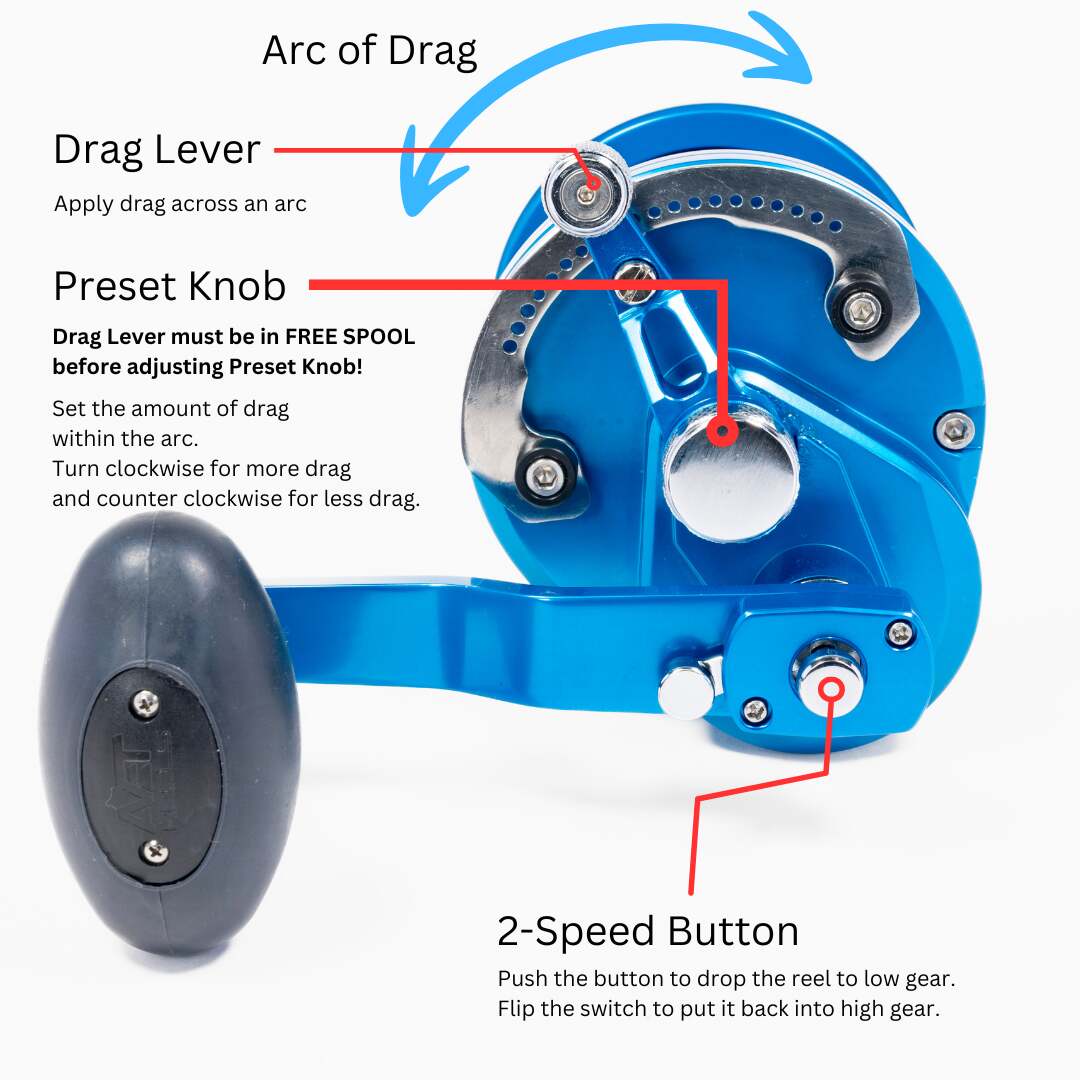 Avet SX G2 6/4 Lever Drag Reels - Image 4