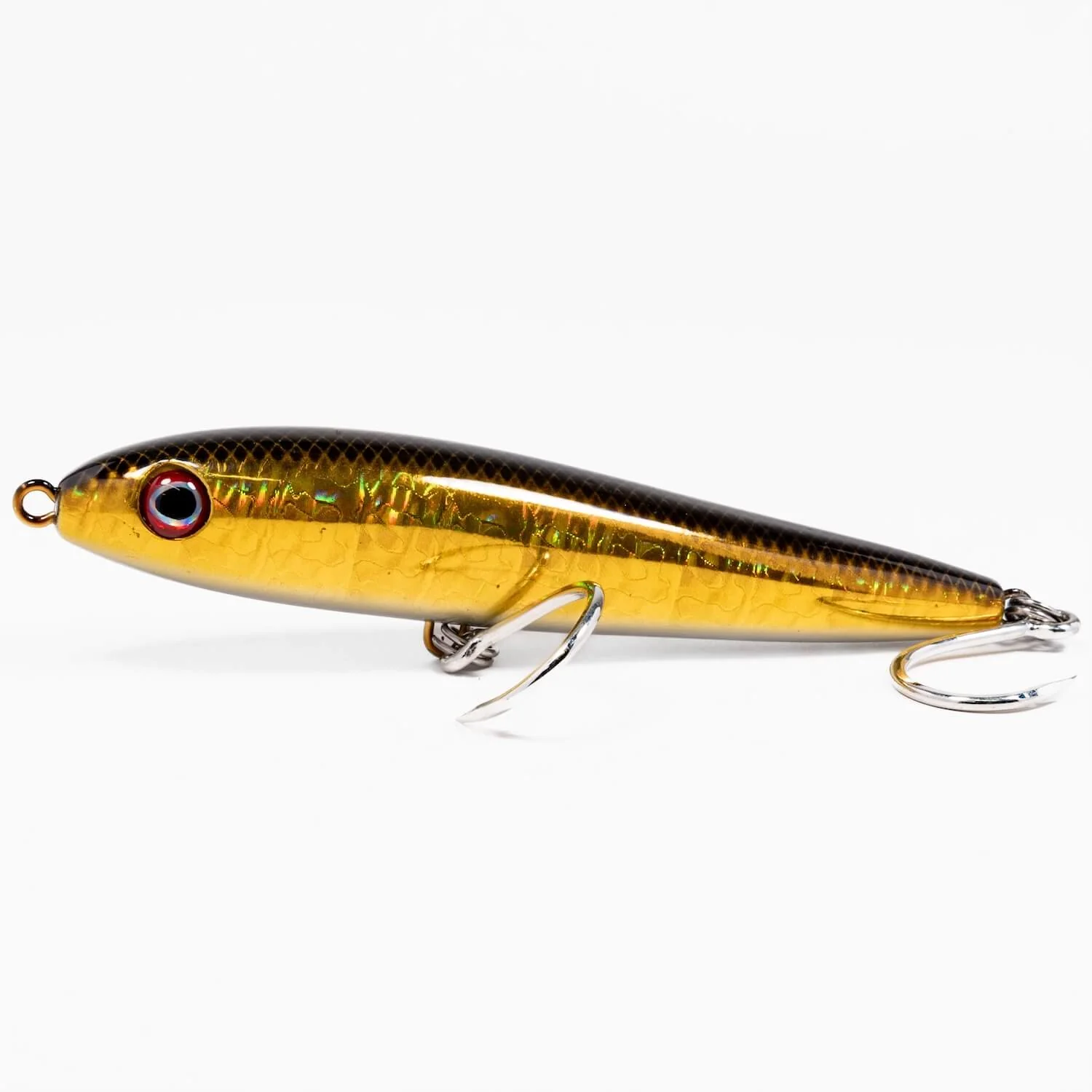 Dark Matter Feeder Minnow - Image 2